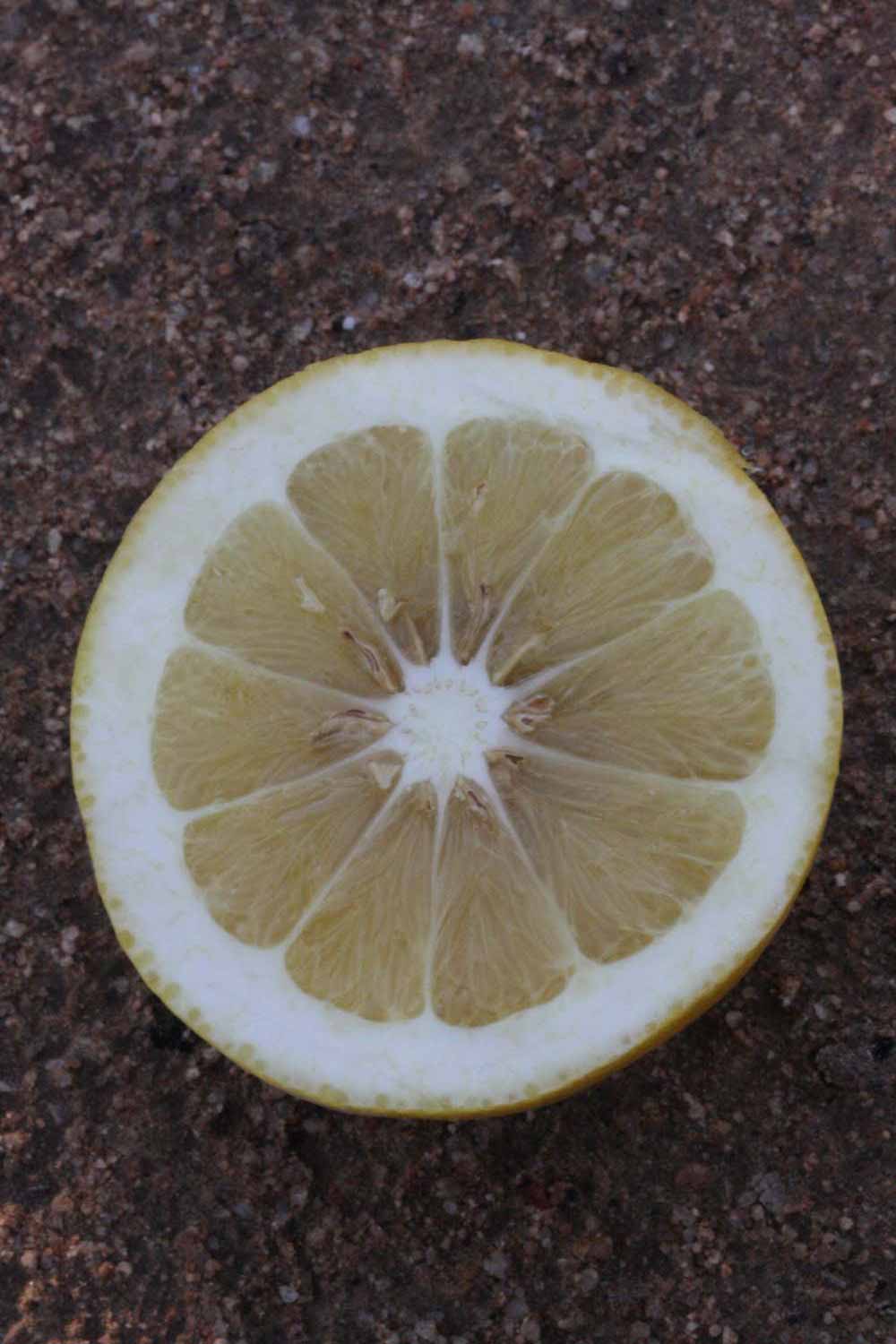            Fruit cross-section (Riverside, CA)   